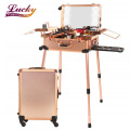 Professional Artist Trolley Studio Free Standing Makeup Train Suitcase with Built in Lights and 3 Light Colors